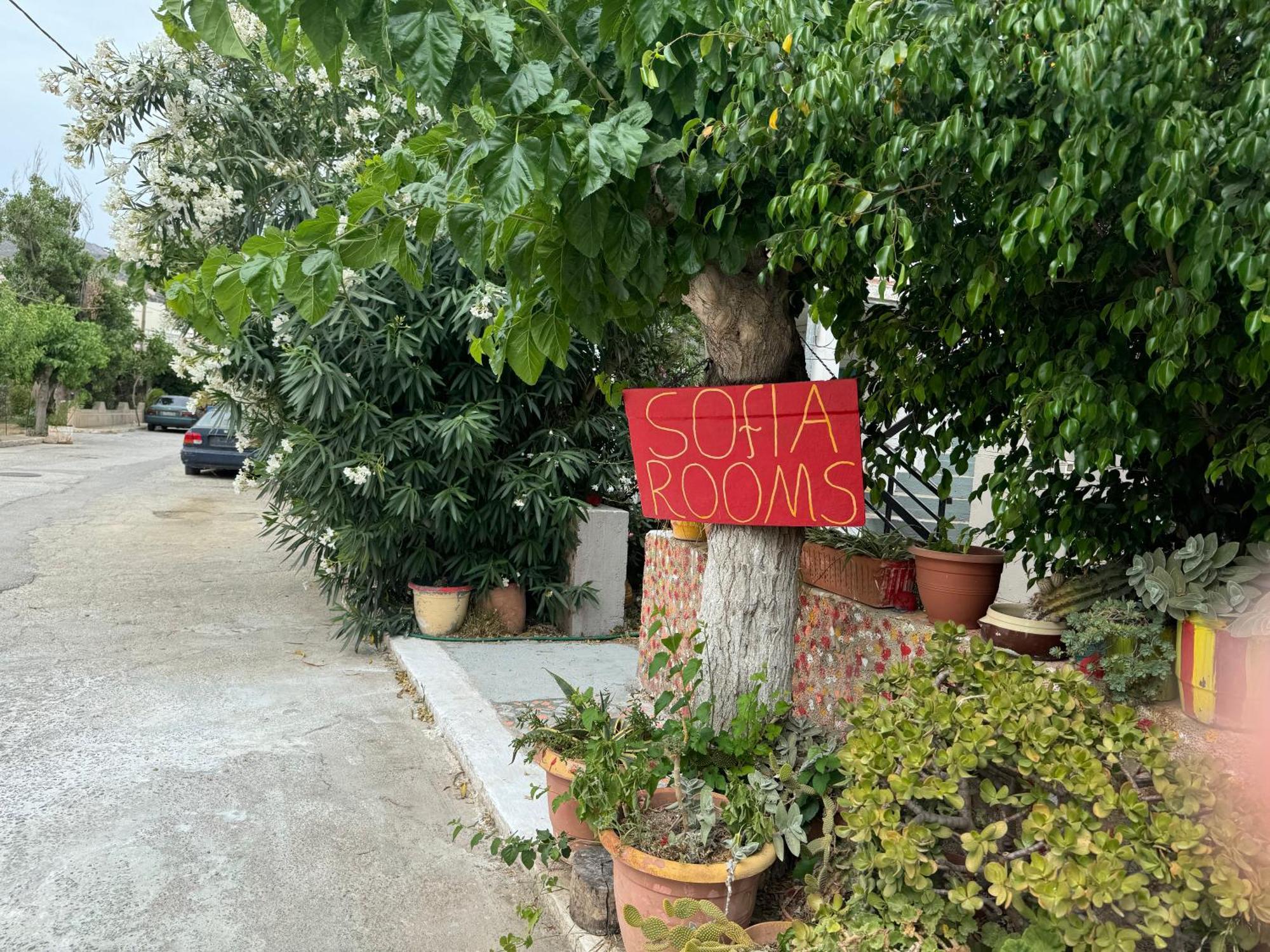 Sofia * Palaiochora